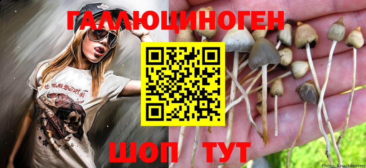 Галлюциногенные грибы MAGIC MUSHROOMS Шелехов