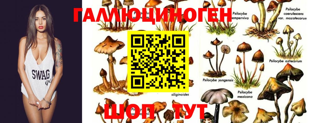 Галлюциногенные грибы прущие грибы  Вход с VPN  Шелехов 